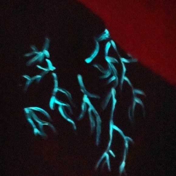 Original Heart - Picture 2 of 5